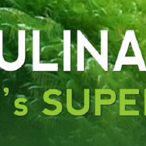 7 bewezen gezondheidsvoordelen van Spirulina
