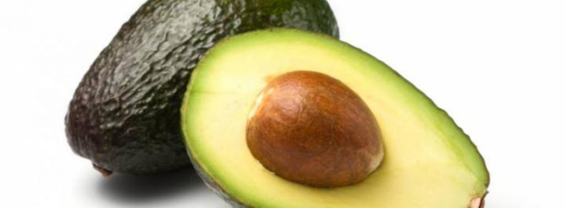 Laat je eigen avocado’s groeien uit de pit