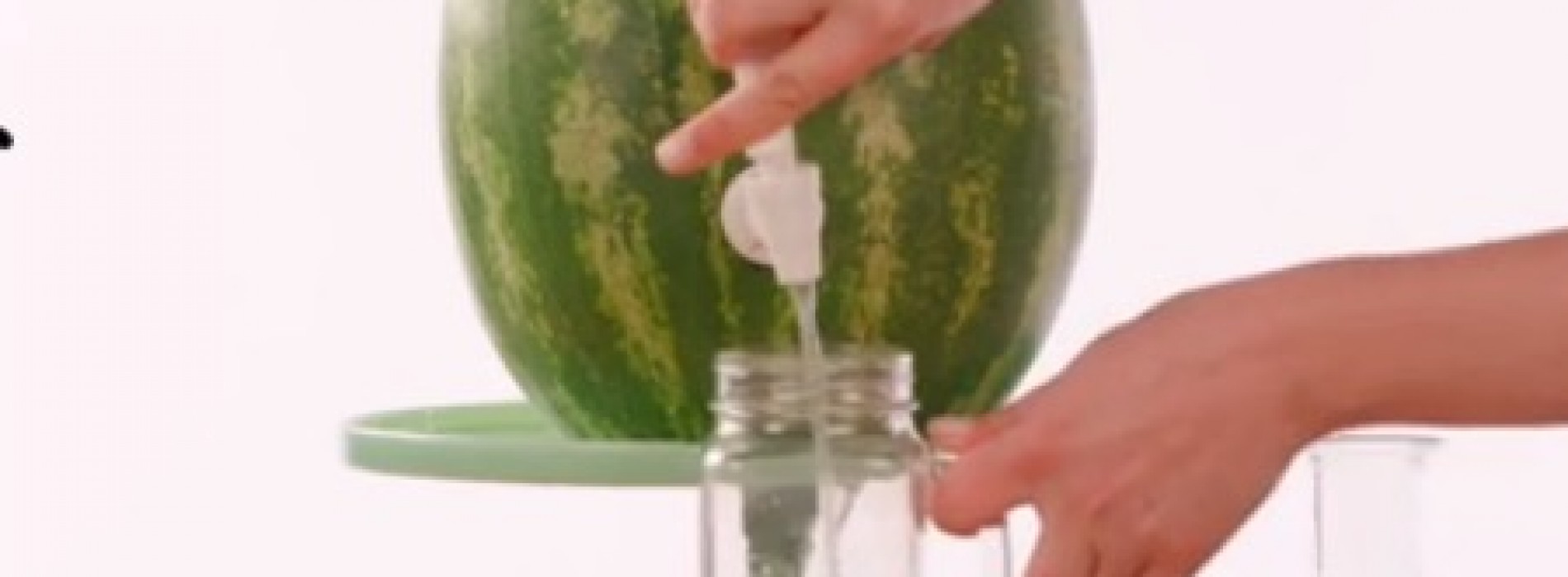 Maak je tuinfeestje nog beter met deze watermeloentap! Geniaal en verbazingwekkend makkelijk te maken!