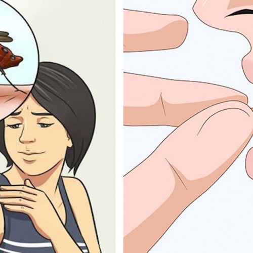 Door het gebruik van deze vitamine heb je geen last van muggen in de zomer!