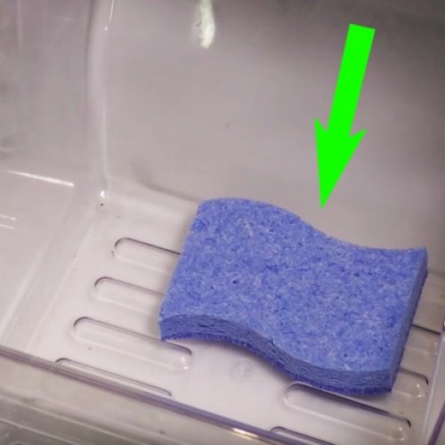 Top idee! Hij plaatst zorgvuldig sponsjes in de koelkast. De reden? Dit is simpelweg GENIAAL!