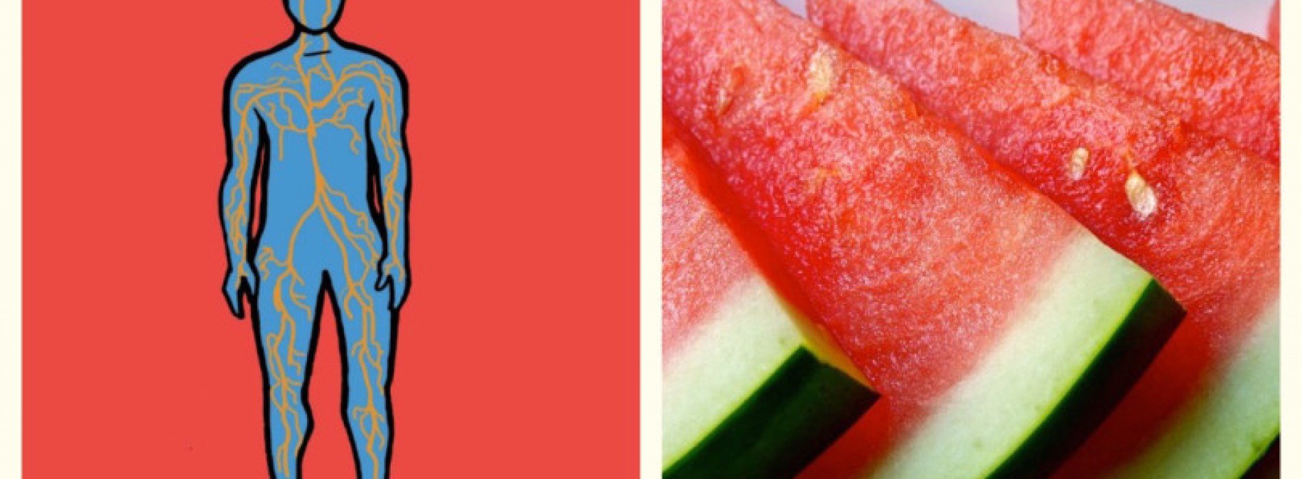 Dit kan watermeloen betekenen voor je bloeddruk. Wist ik dit maar eerder!