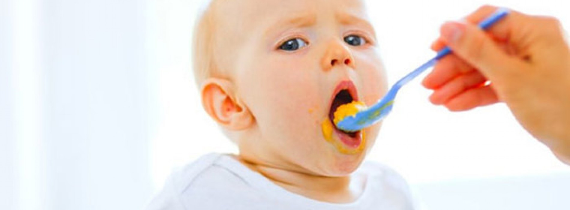 Maak nu heel simpel je eigen babyvoeding op een gezonde en heerlijke manier!