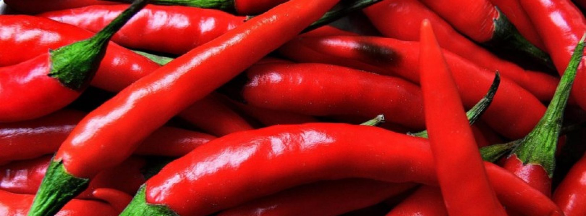 Chilipepers zijn niet alleen maar zoet en pittig maar ook nog is supergezond! Dit zijn de gezondheidsvoordelen