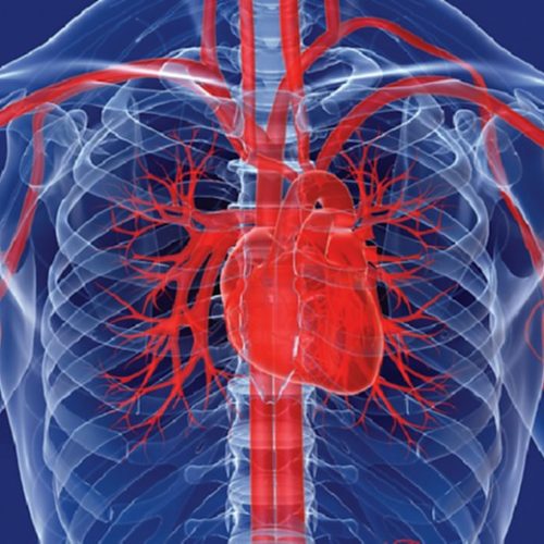 Iedereen heeft een gezond en sterk hart nodig. Dit zijn 10 manieren om je hart gezond te houden.!