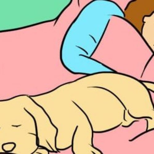 7 redenen waarom het goed is om met je hond in één bed te slapen. Dit gaat iedere honden eigenaar geweldig vinden!