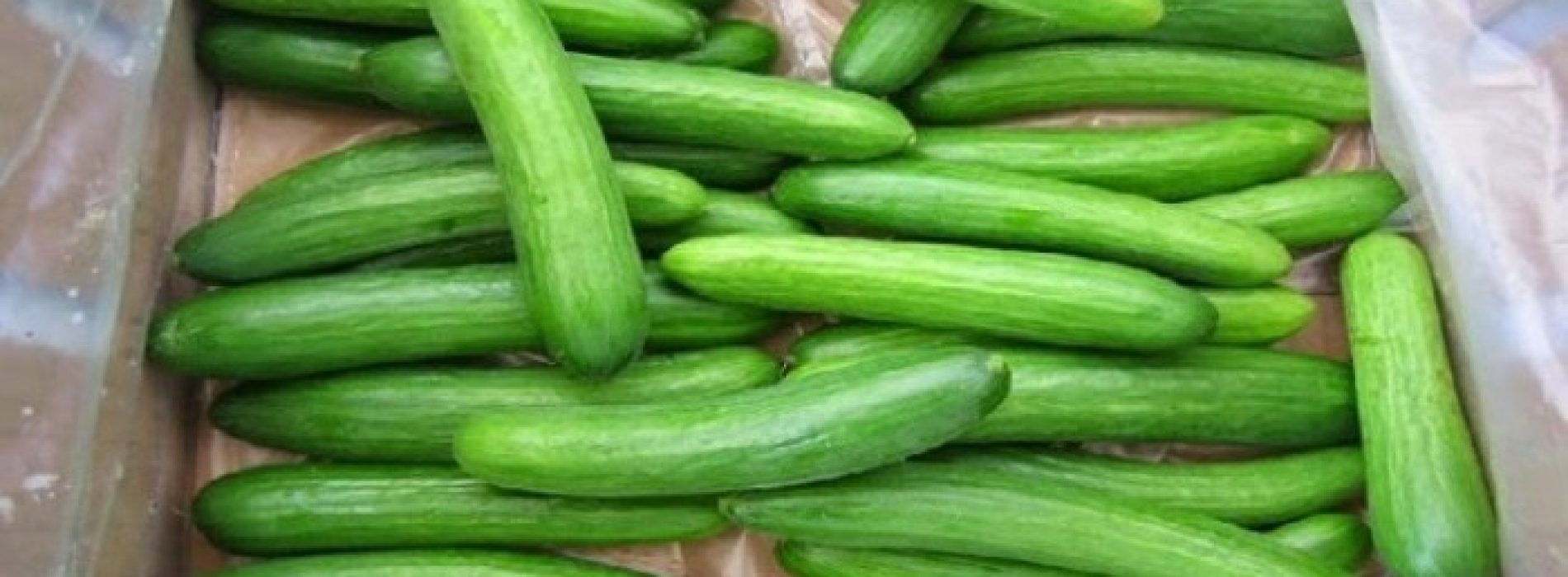 13 Toepassingen voor komkommers die u zal verbazen
