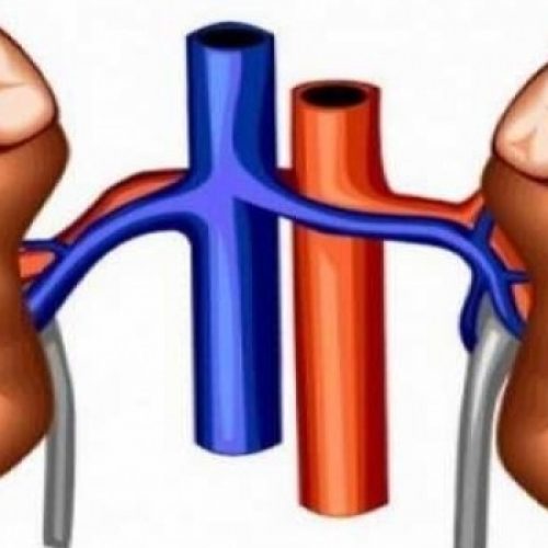 10 Dodelijke gewoontes die ernstige schade toebrengen aan uw nieren