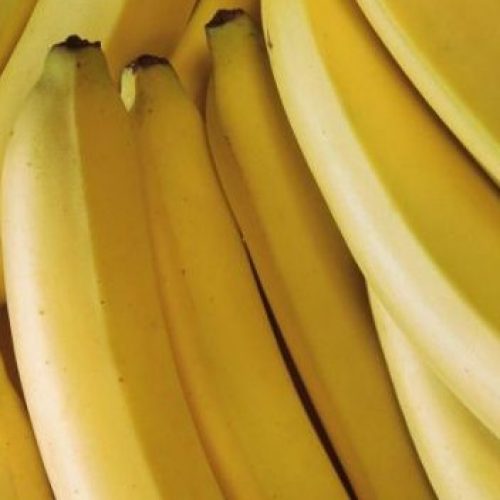 Bananen zijn niet alleen voor Apen – Ontdek 17 Krachtige Redenen Om Bananen te eten!