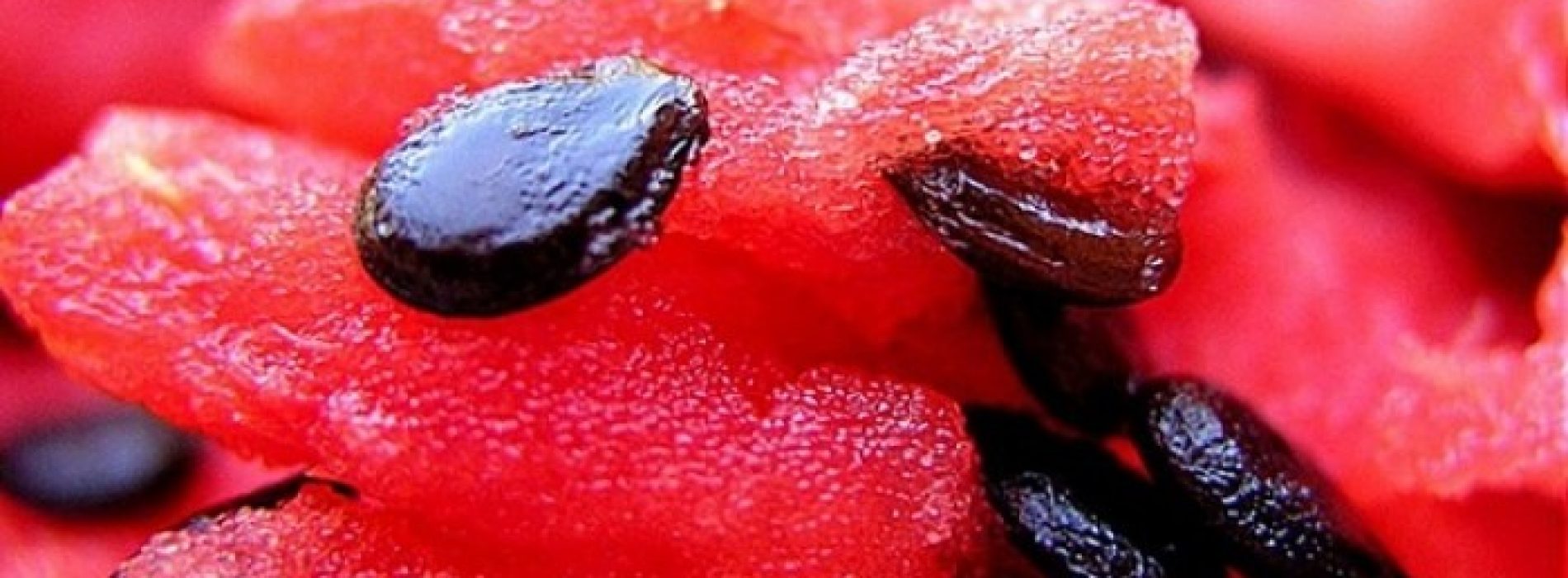 De zaden van een watermeloen verbergen een heleboel geheimen voor onze gezondheid