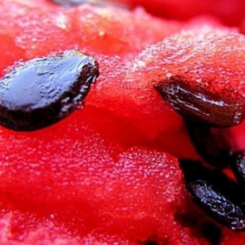 De zaden van een watermeloen verbergen een heleboel geheimen voor onze gezondheid