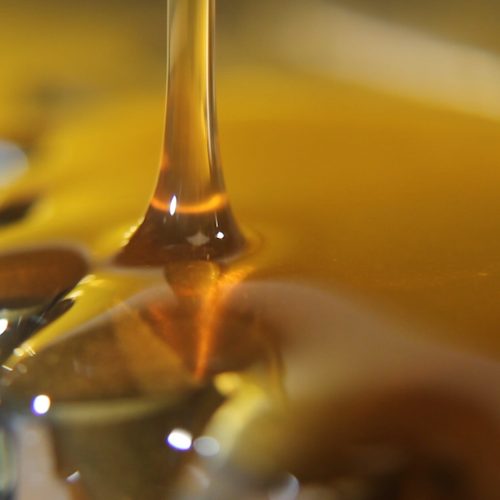 Hoe Cannabis olie te maken in 7 gemakkelijke stappen