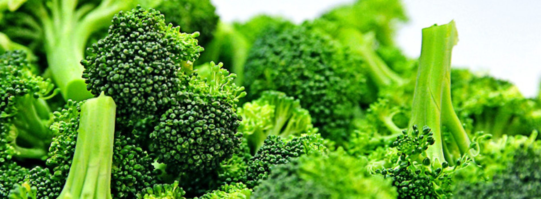 Hoe broccoli beschadigde longen herstelt