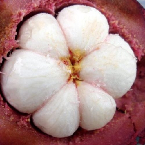 Deze tropische vrucht doodt borstkankercellen