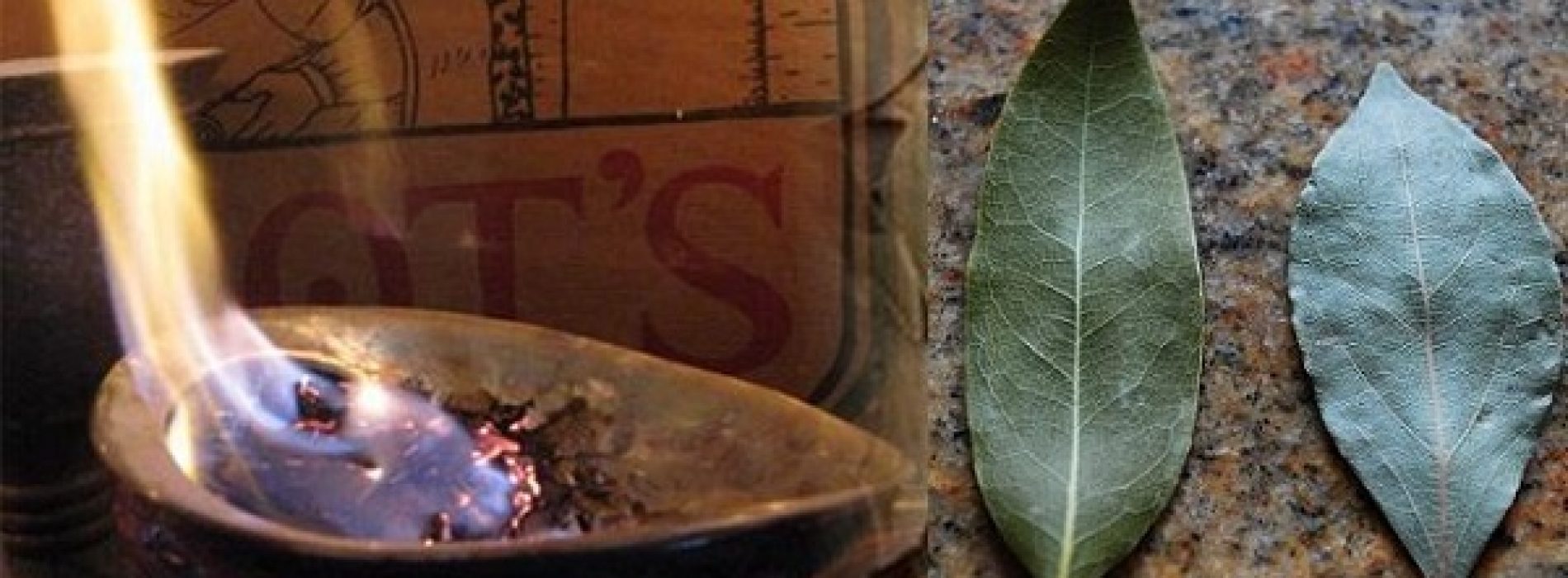 Verbrand laurierblaadjes in je huis en geniet van drie heilzame gezondheidseffecten!