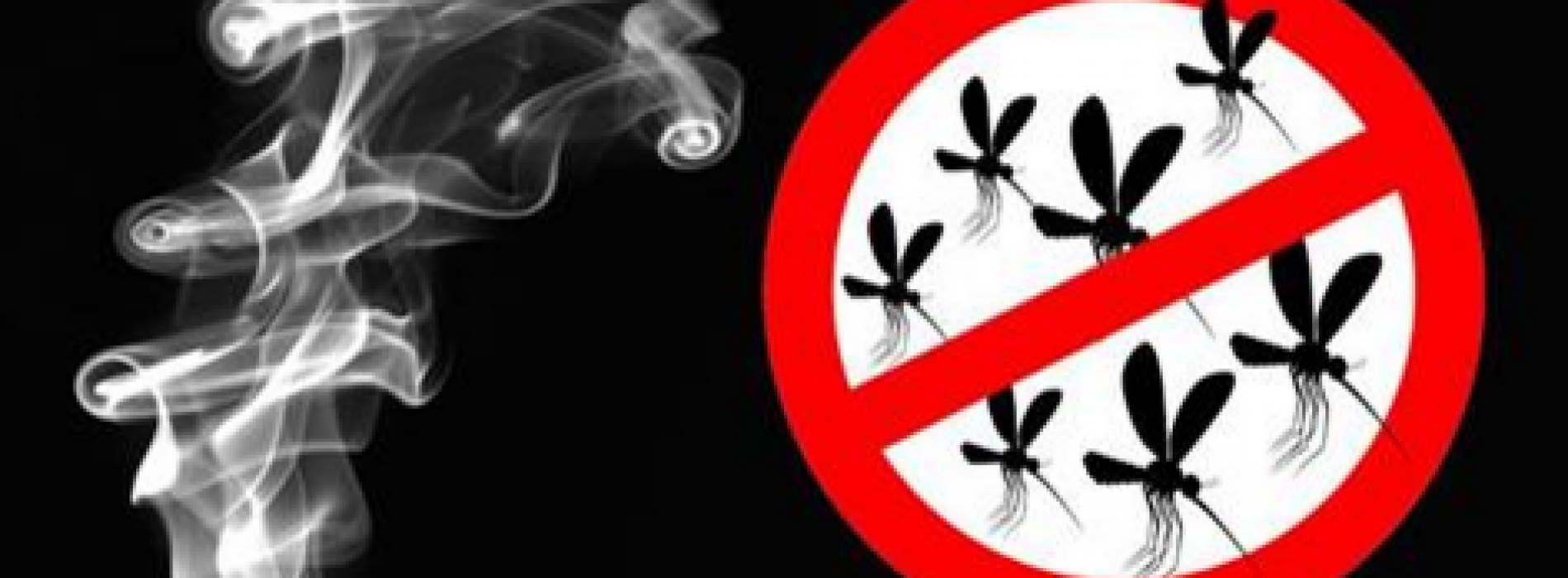 Verbrand DIT buiten je huis en je hebt nooit meer last van muggen!