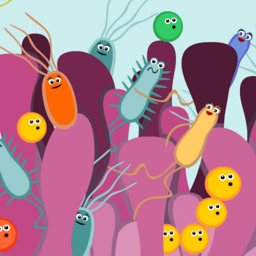 Darmbacteriën lijken de controle te hebben over onze emoties. Deze verrassende studie toont het verband