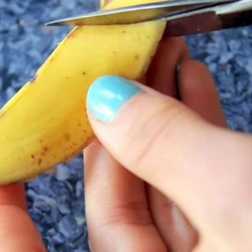 Gooi nooit meer je bananenschillen weg. Dit zijn 5 geweldige manieren hoe je ze kunt gebruiken!