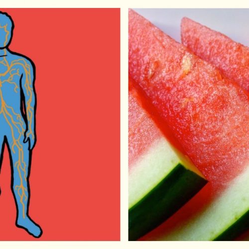 Wow wist jij dat een watermeloen zoveel gezondheidsvoordelen heeft?