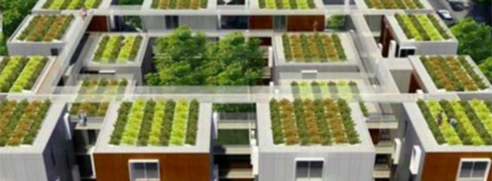 Frankrijk verklaart dat alle nieuwe daken moeten worden bedekt met planten of zonnepanelen …