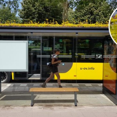 Deze Nederlandse stad heeft haar bushaltes omgezet in bij haltes!