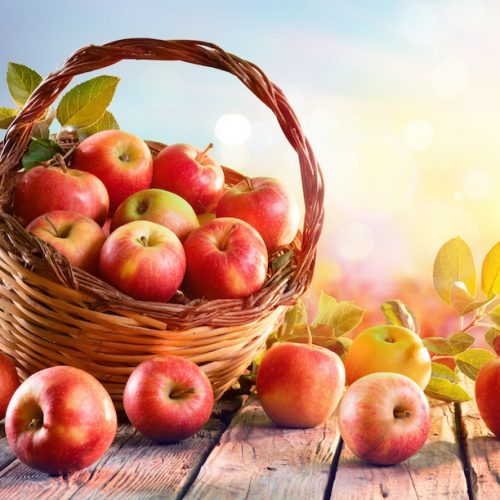 Biologische appels zijn beter dan conventionele appels voor de darmgezondheid, blijkt uit nieuwe studie
