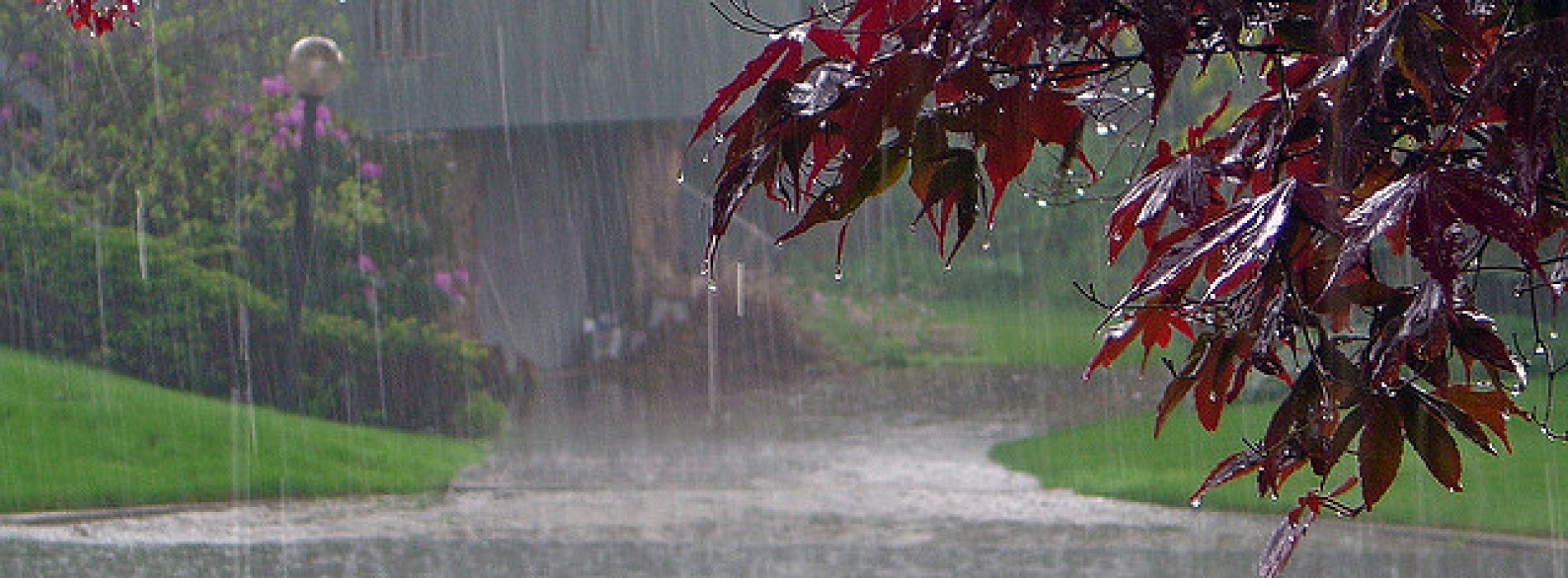 De geur van de regen vermindert stress en 7 andere voordelen van wandelen in de regen