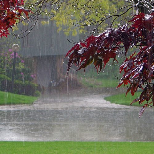 De geur van de regen vermindert stress en 7 andere voordelen van wandelen in de regen