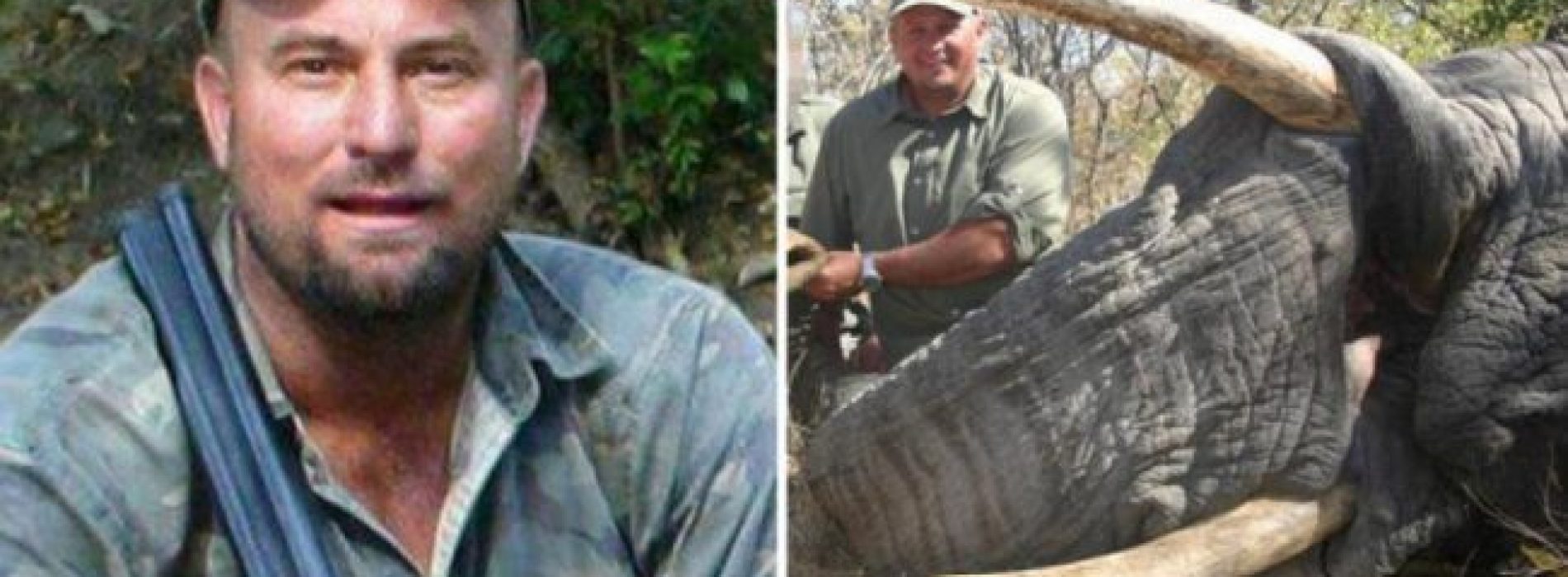 Instant Karma – Groot wild jager werd gedood toen de neergeschoten olifant bovenop hem instortte