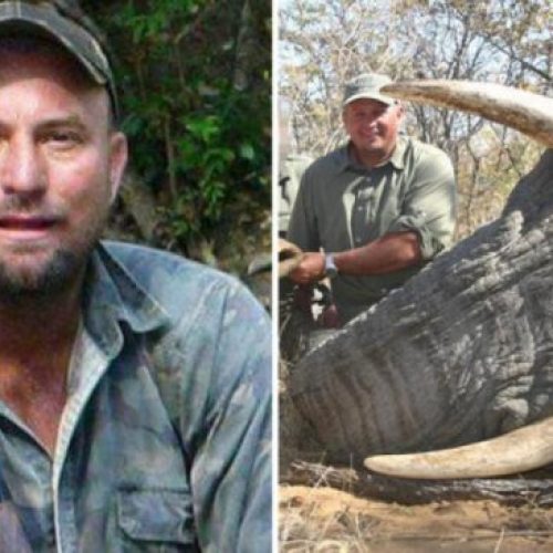 Instant Karma – Groot wild jager werd gedood toen de neergeschoten olifant bovenop hem instortte