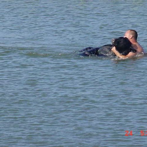 Dappere man die 400-pond zwarte beer van verdrinking redt is mogelijk een van de beste reddingsverhalen ooit