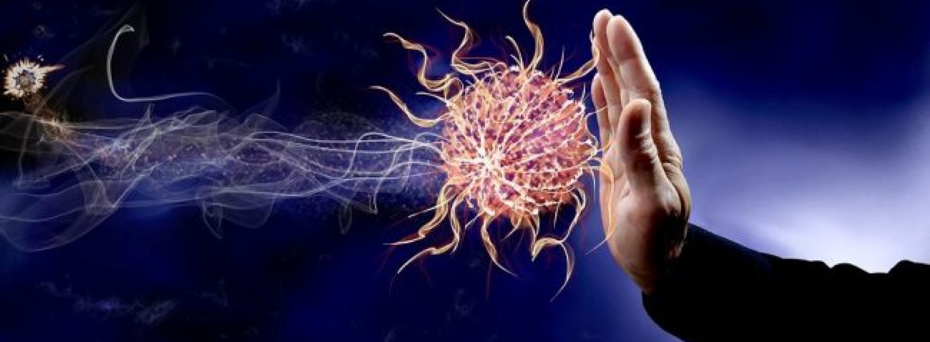 Onderzoek: 72 uur vasten kan het hele immuunsysteem opnieuw opstarten