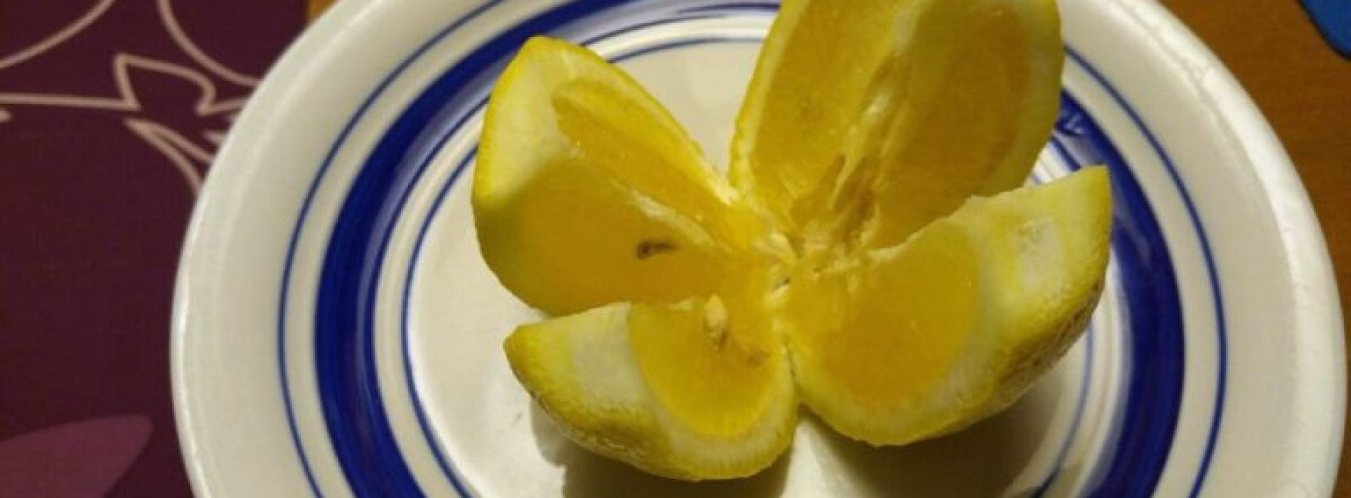 Zet ’s nachts een schijfje citroen naast je bed voor deze geweldige voordelen