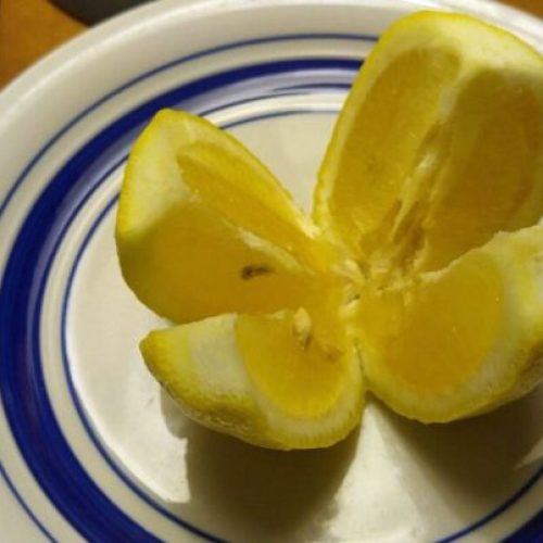 Zet ‘s nachts een schijfje citroen naast je bed voor deze geweldige voordelen