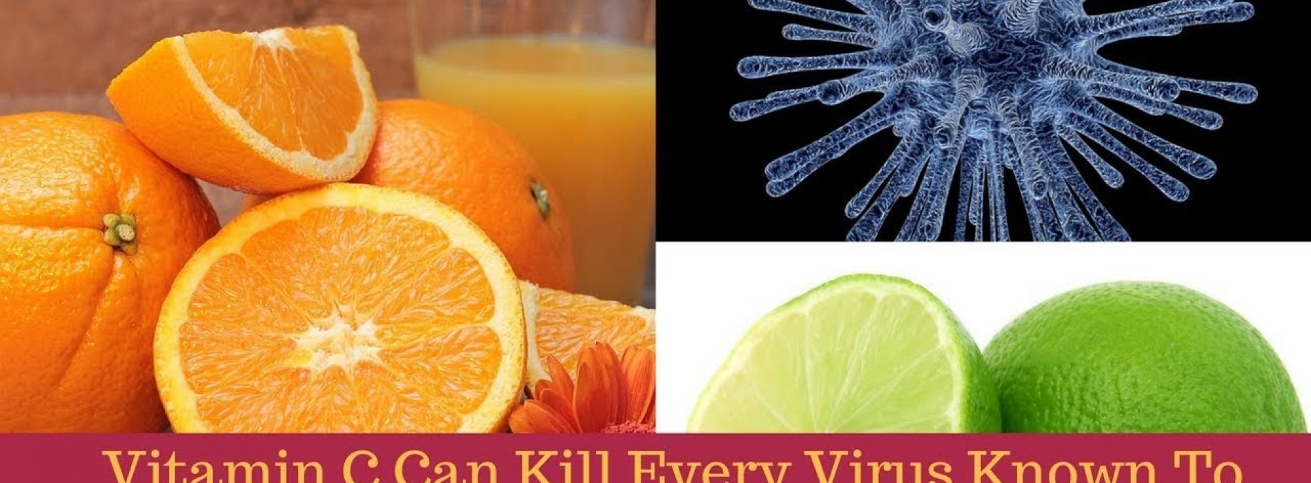 ‘Vitamine C’ kan elk virus doden dat bij de mensheid bekend is