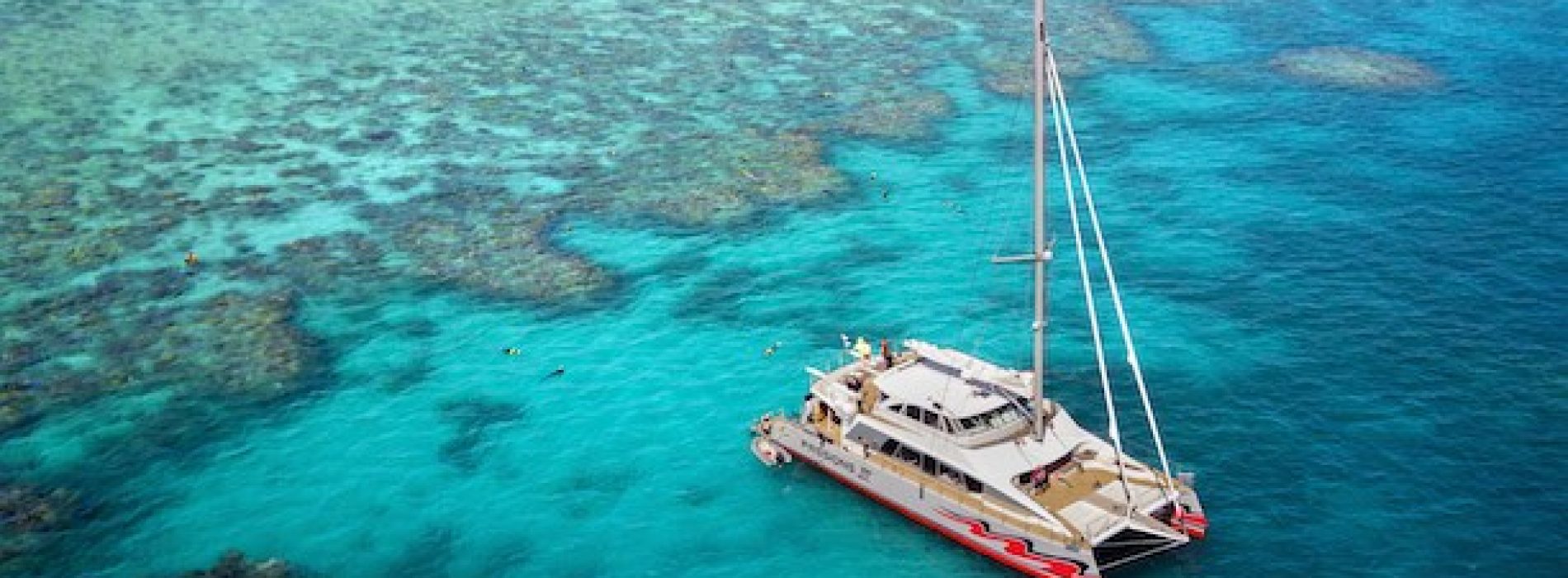 Zonder toeristen plant Australian Scuba Tours in plaats daarvan koraal