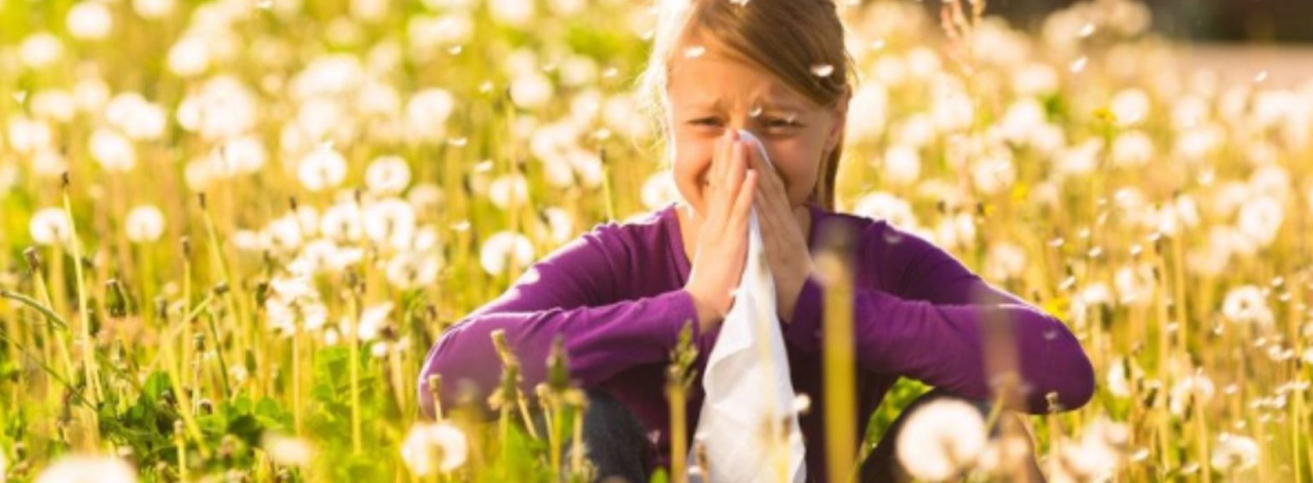 Seizoensgebonden allergieën? Deze 6 voedingsmiddelen kunnen helpen