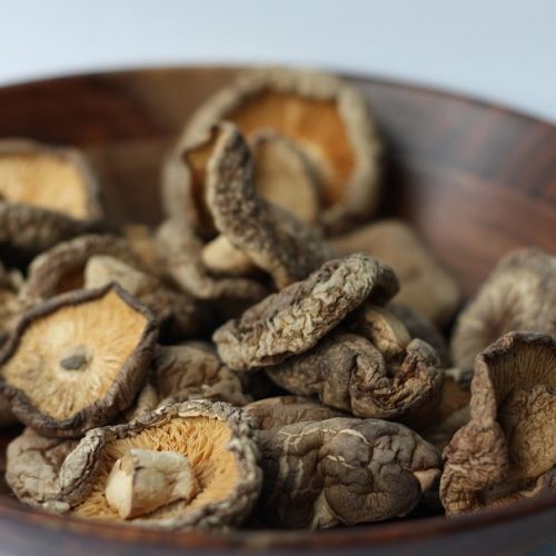 Van Shiitake-paddenstoelen is bewezen dat ze ten goede komen bij het behandelen en voorkomen van tientallen ziekten