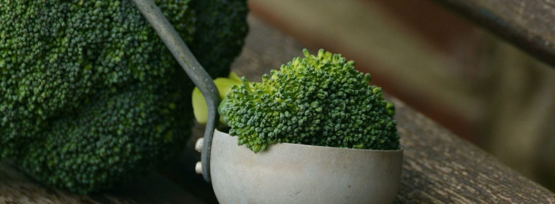 Broccoli kan hersenregeneratie stimuleren, suggereert nieuw onderzoek