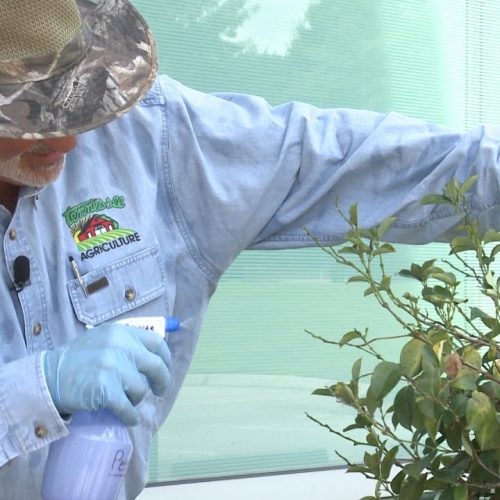 Nieuwe studie koppelt veelvoorkomend pesticide aan chronische nierziekte