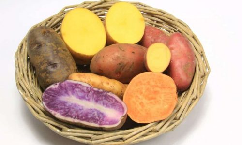 Vijf redenen om meer zoete aardappelen te eten