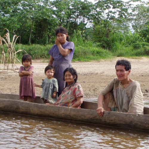 Studie vindt enkele van ‘s werelds laagste dementiepercentages bij inheemse groepen in het Amazonegebied