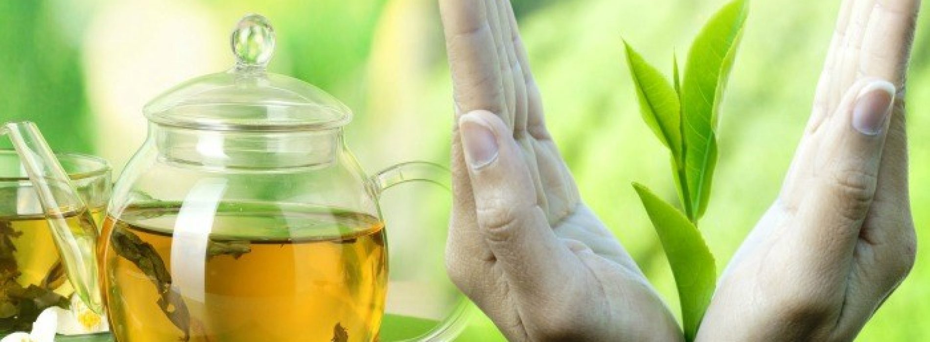 TOP 8 groene thee remedies